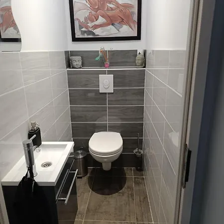 Maison Moderne De 100m2 Avec Jardin 维亚斯